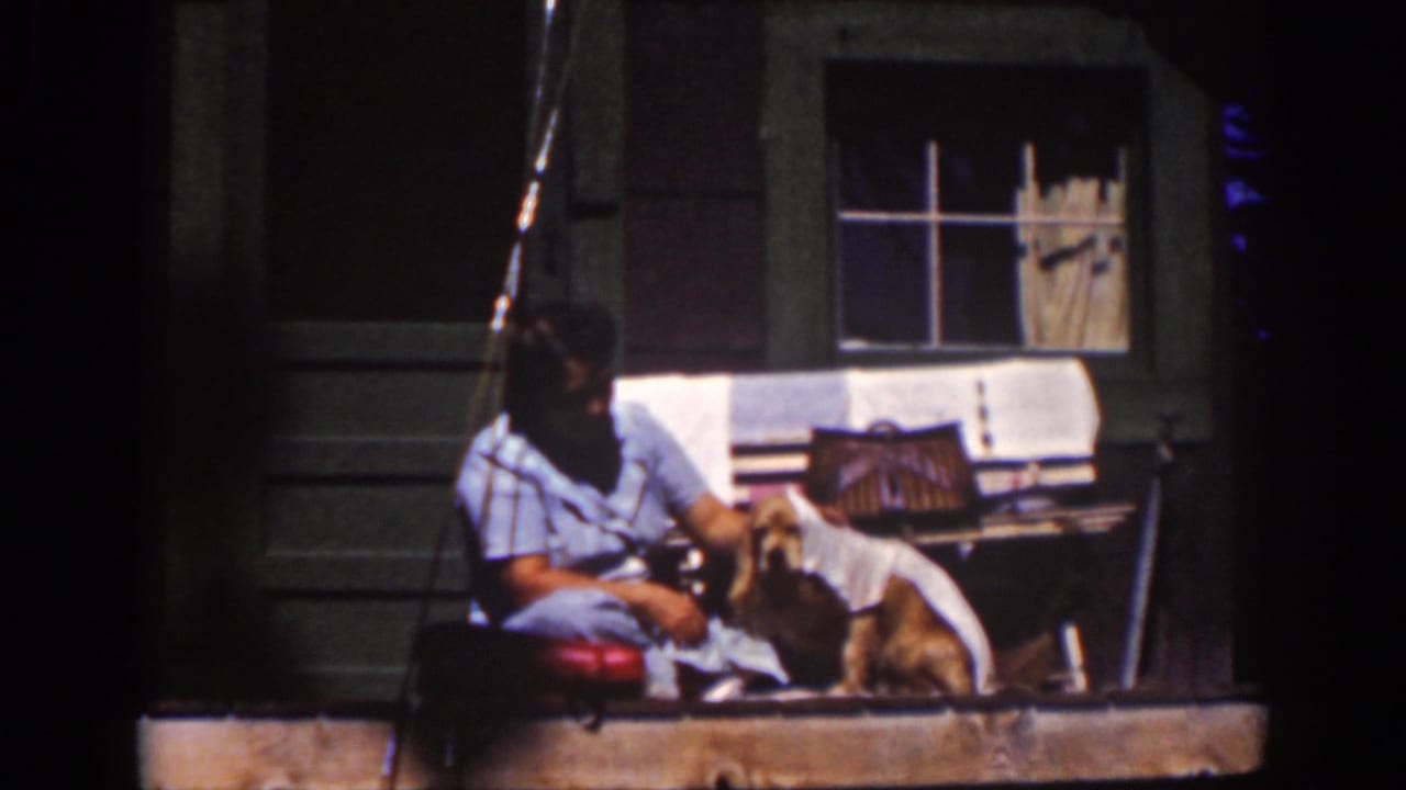 A woman in a light dress leans toward a small dog on a wooden porch at Lake Tahoe, with cabin siding and a window behind her.