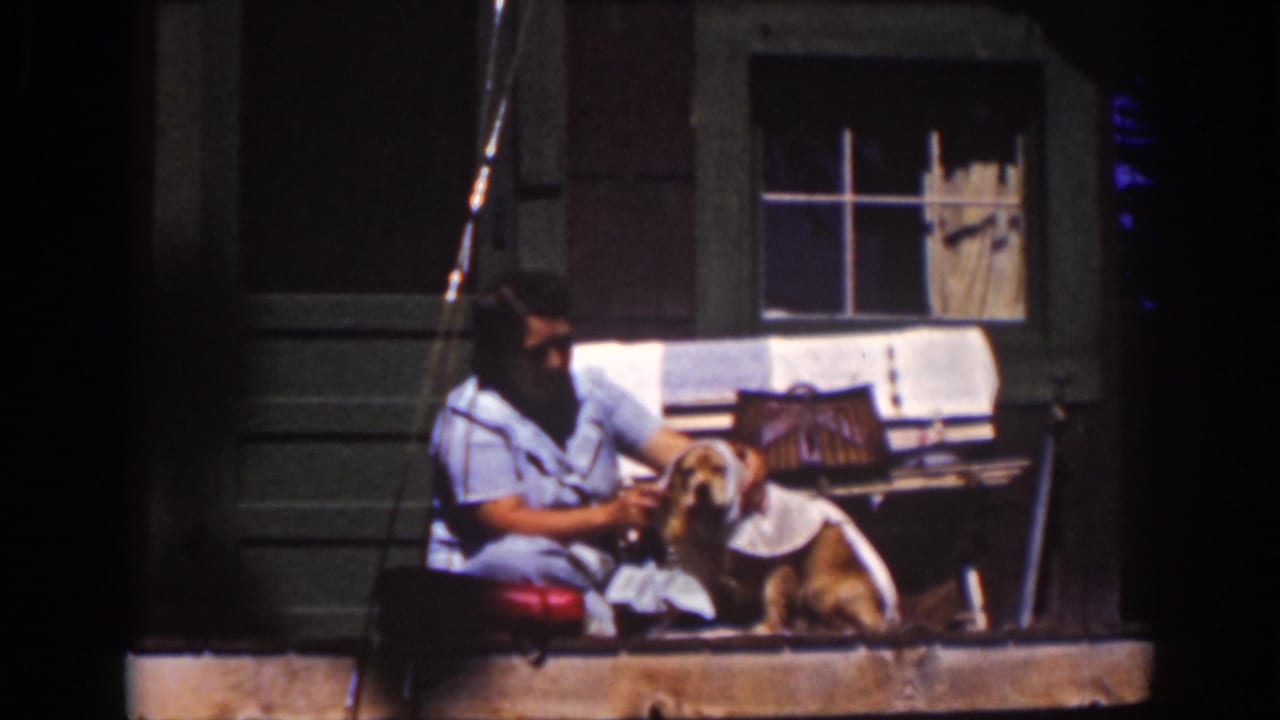 Woman seated on a porch wiping a golden dog with a white towel.