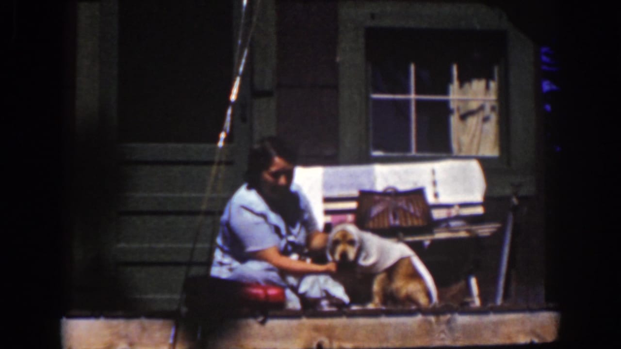 The woman leans toward the dog on the Lake Tahoe porch while a pale towel rests over the dog's head and shoulders.