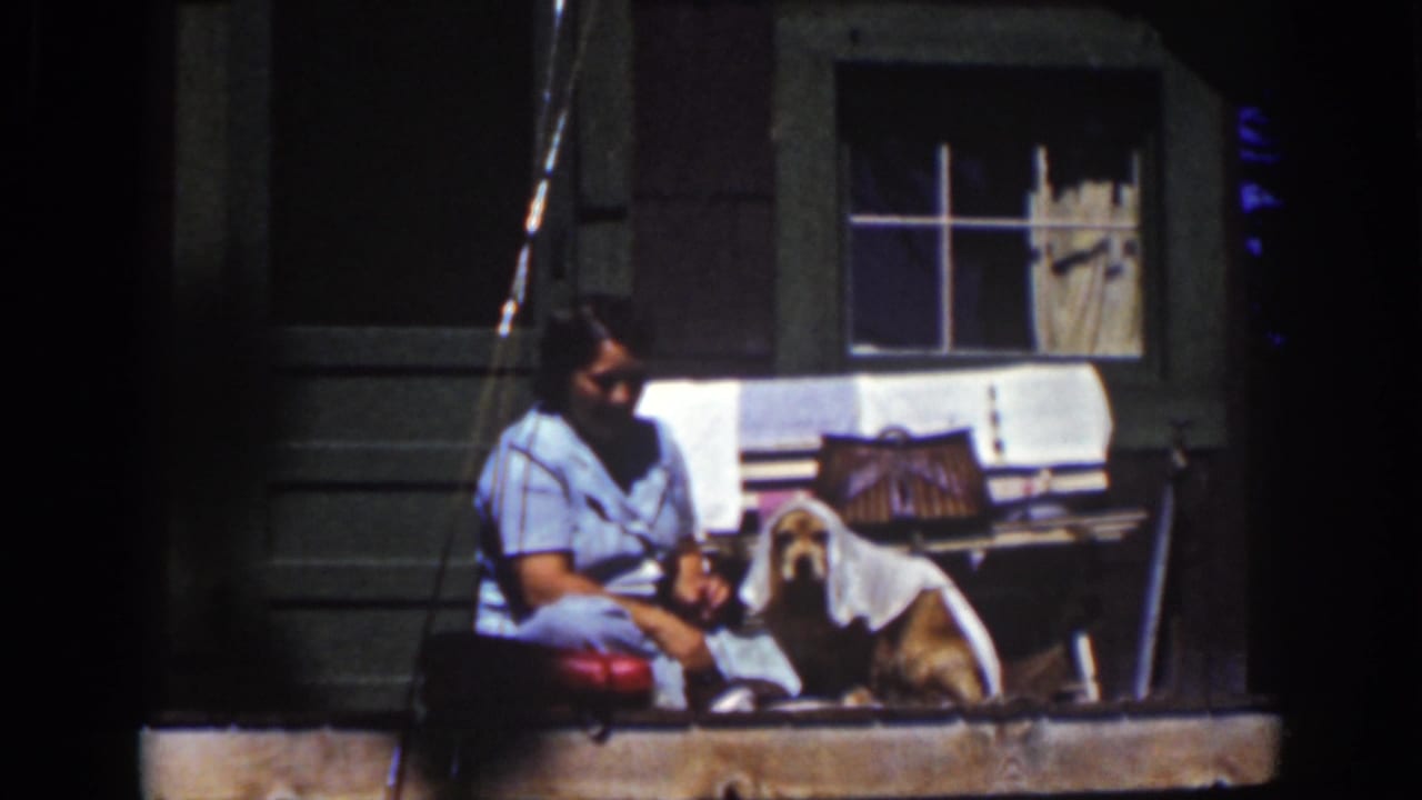 A woman sits beside the towel-covered Cocker Spaniel on the porch, with dark exterior siding and a curtained window behind them.