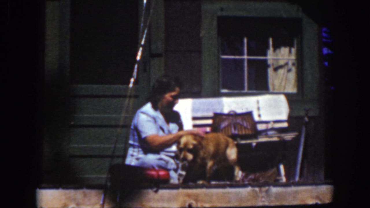 Woman in a light blue dress tends a golden-colored dog on a sunny porch step.