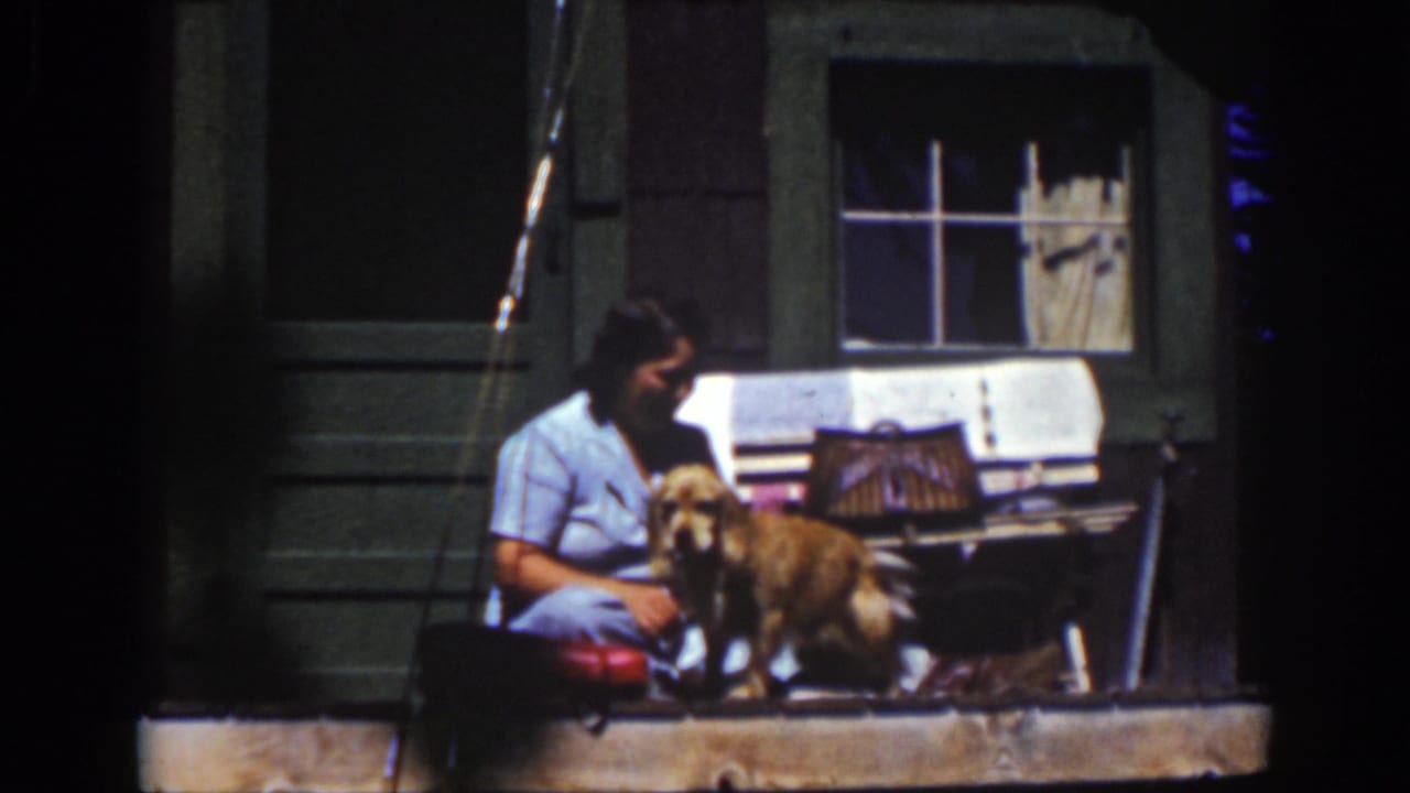 Woman seated on a porch step petting a golden-colored dog beside a window.