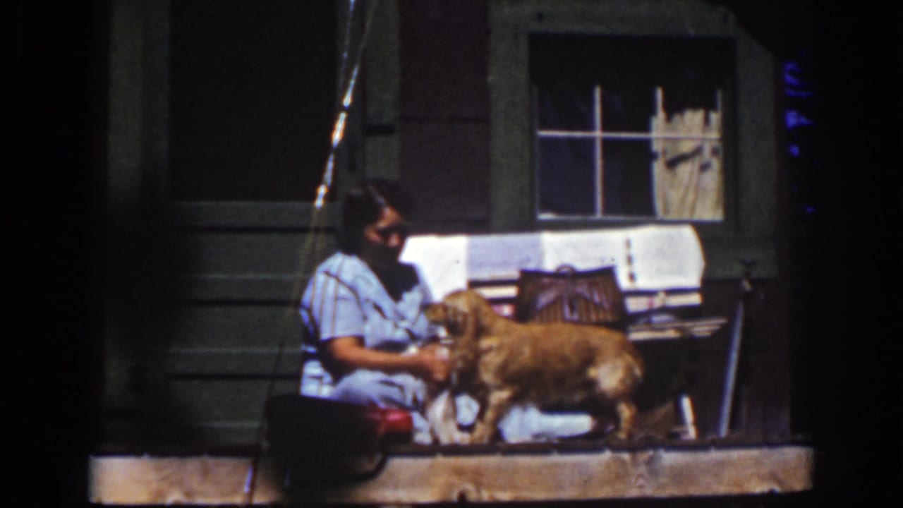 The final frame shows the woman reaching to pet the golden-colored dog as it stands sideways on the Lake Tahoe porch.