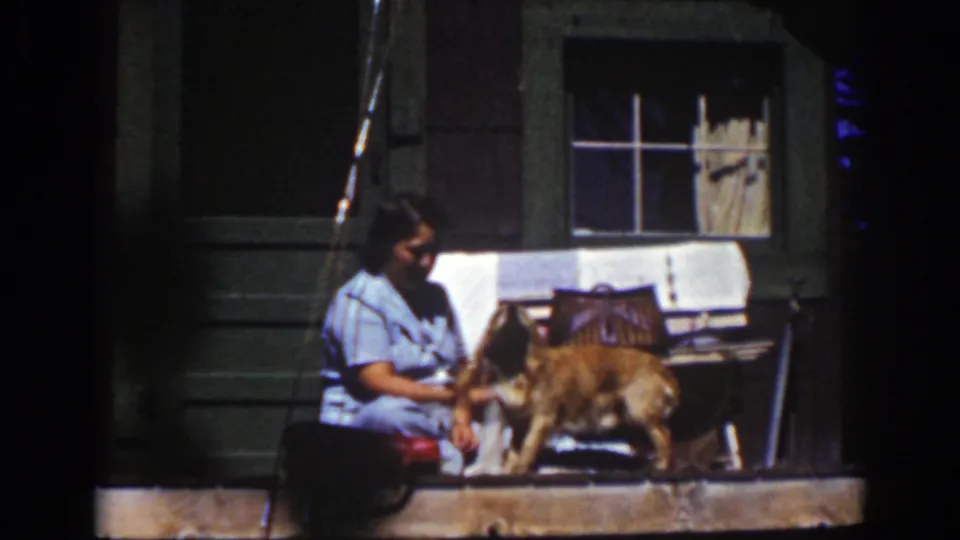A woman in a light blue dress tends to a golden-colored dog on a Lake Tahoe cabin porch in 1939 footage.