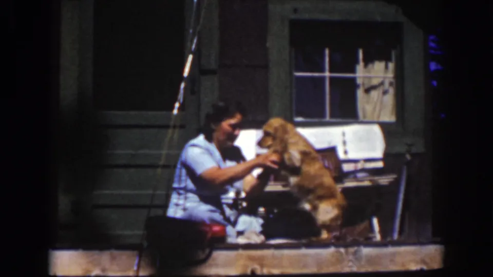 The woman steadies the golden-colored dog upright during a porch washing scene in 1939 Lake Tahoe footage.