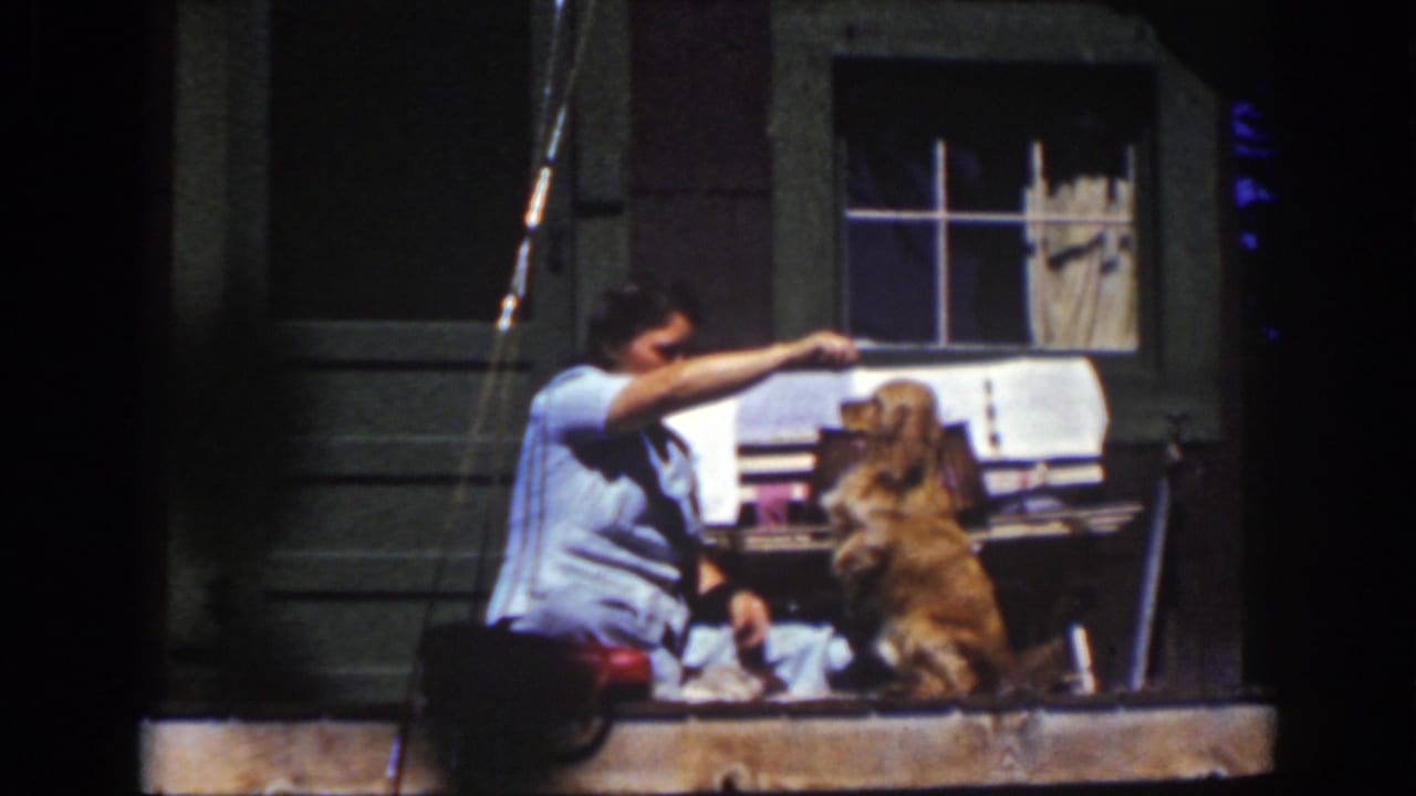 Woman seated on a cabin porch reaches toward a golden dog sitting upright.