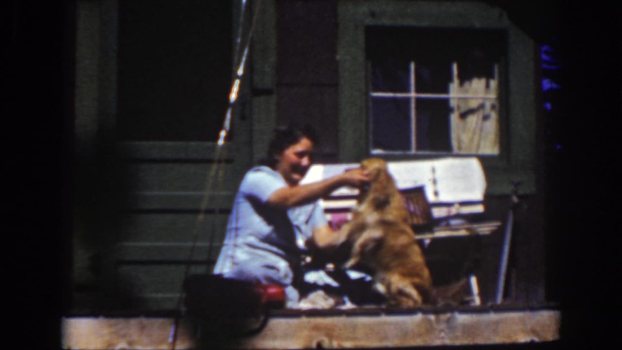 Woman smiles while touching the dog as it rises beside her on the porch.