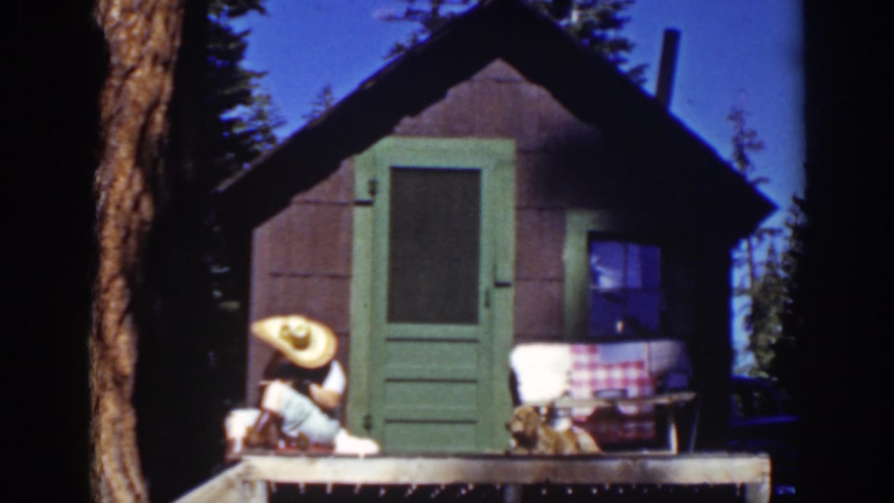 Woman in a straw hat sits on a cabin porch with a dog nearby.