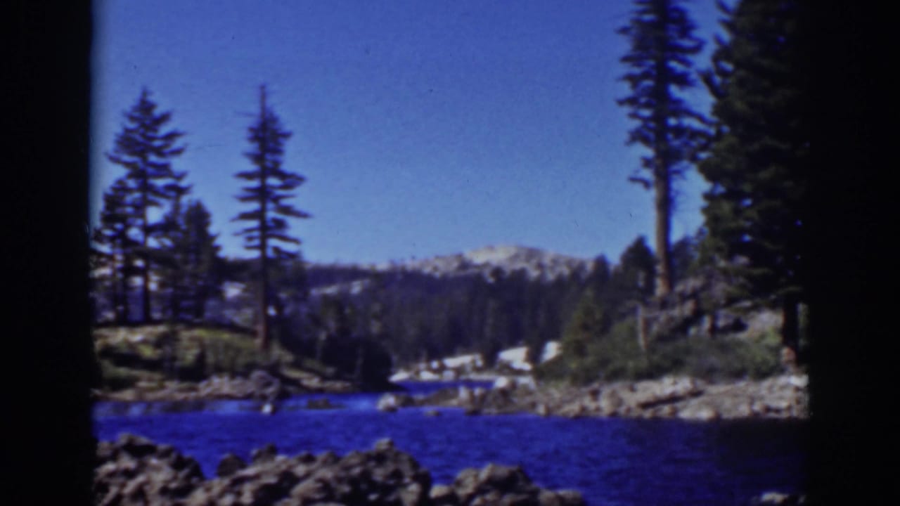 Rocky lake shoreline with tall pines and distant snowy mountains under clear sky.
