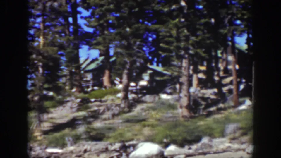 1939 Lake Tahoe cabin view framed by pine trunks, rocks, brush, and a small foreground boulder near the shore.