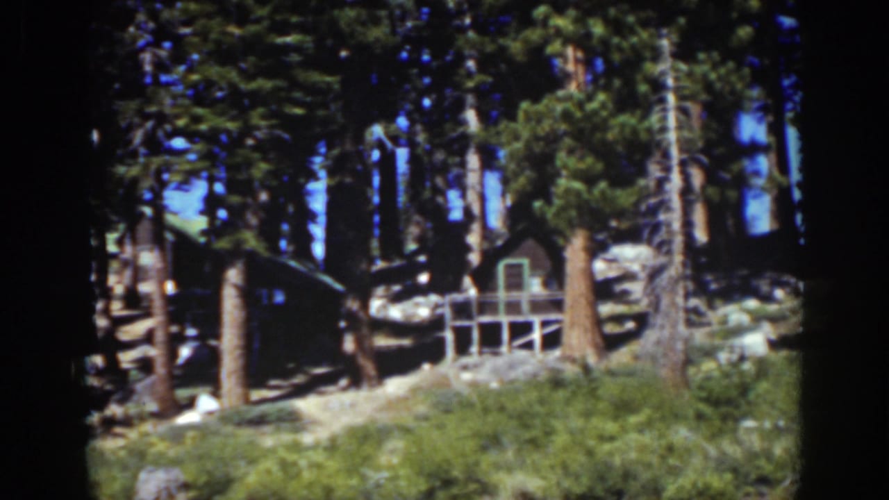 Lake Tahoe forest view from 1939, with a small cabin and porch framed by pine trunks and sunlit undergrowth.