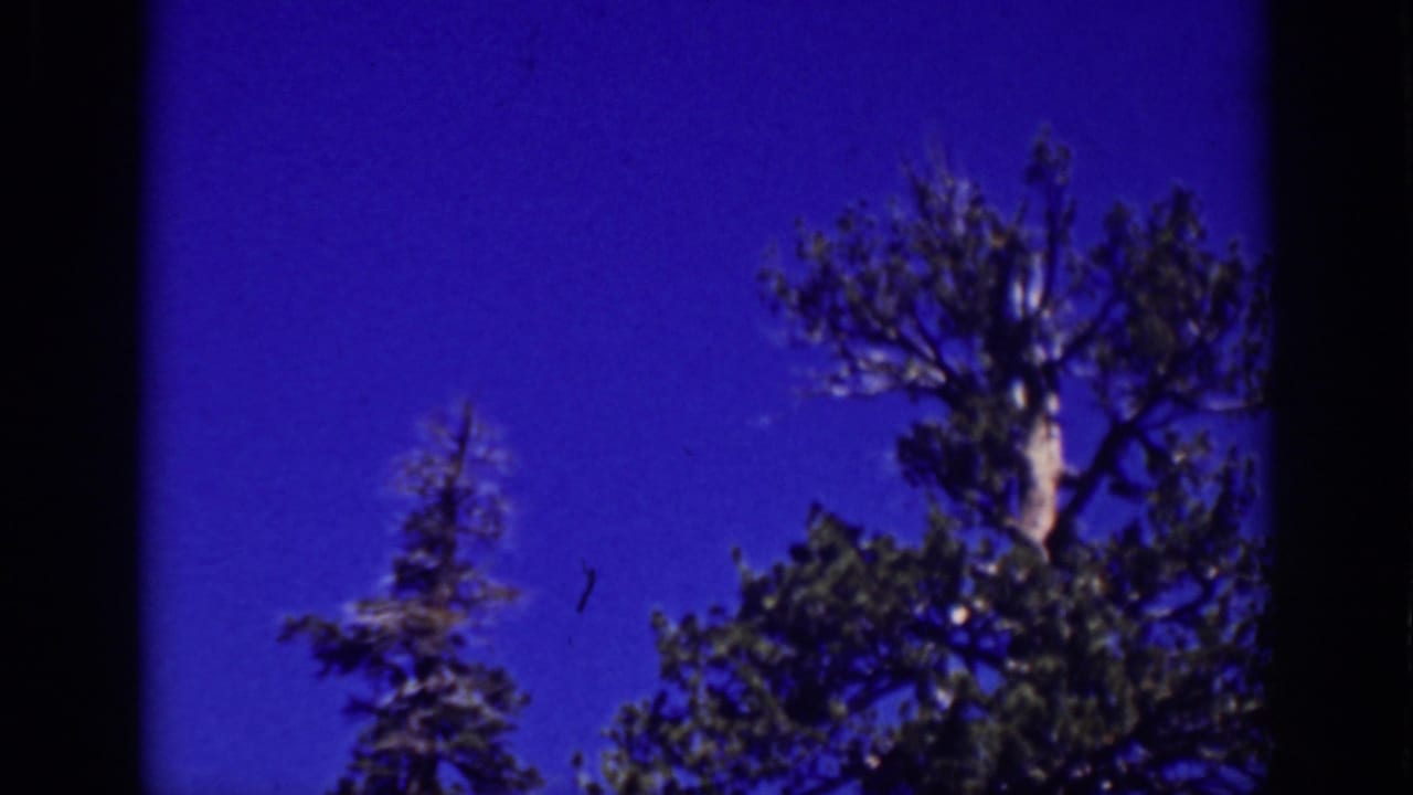 Treetops against a deep blue sky within dark 8mm film borders.