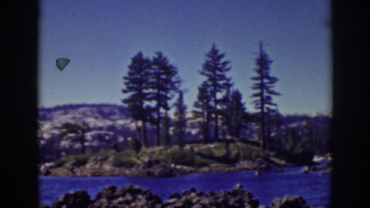 Pine-covered lakeside point across blue water with hills under a clear sky.