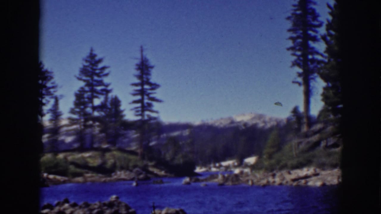 Lake shoreline with tall pines, distant mountains, blue water, and clear sky.