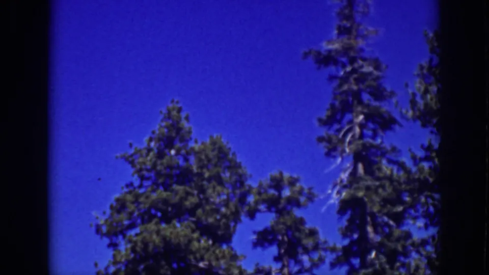 Lake Tahoe home-movie frame with tall conifers silhouetted against a vivid blue sky, bordered by the film gate.