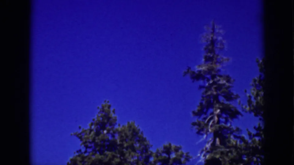 Lake Tahoe 8mm frame where open blue sky dominates above conifer tops at the edge of the view.