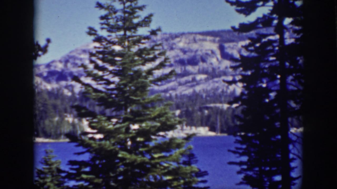 A blue lake and mountain ridge are seen through tall pine trees.