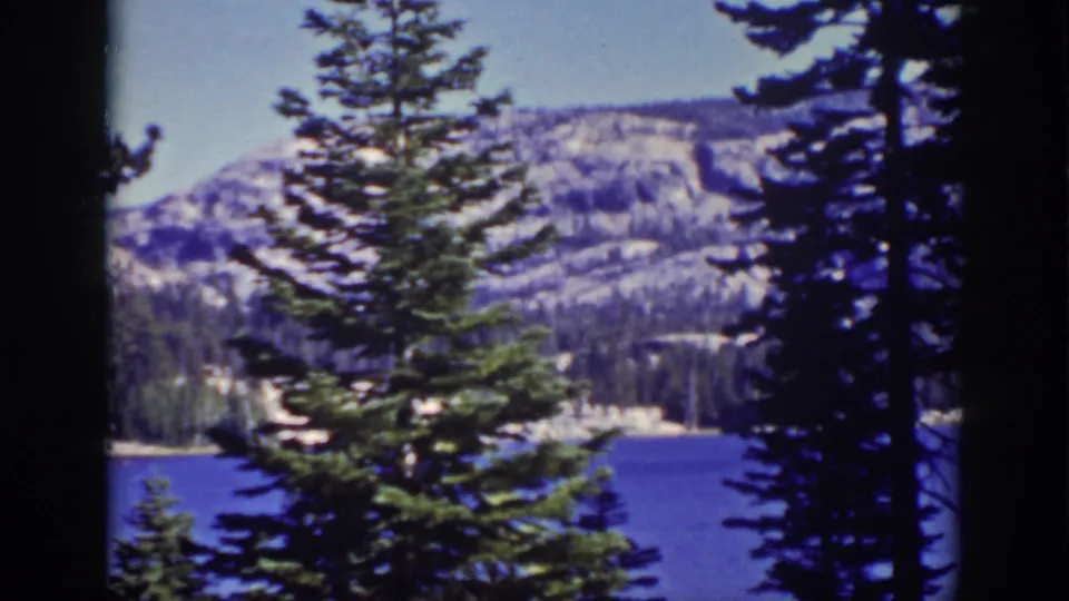 1939 Lake Tahoe home-movie frame showing a pine tree, blue lake, wooded shoreline, and snow-dusted mountains in soft 8mm color.