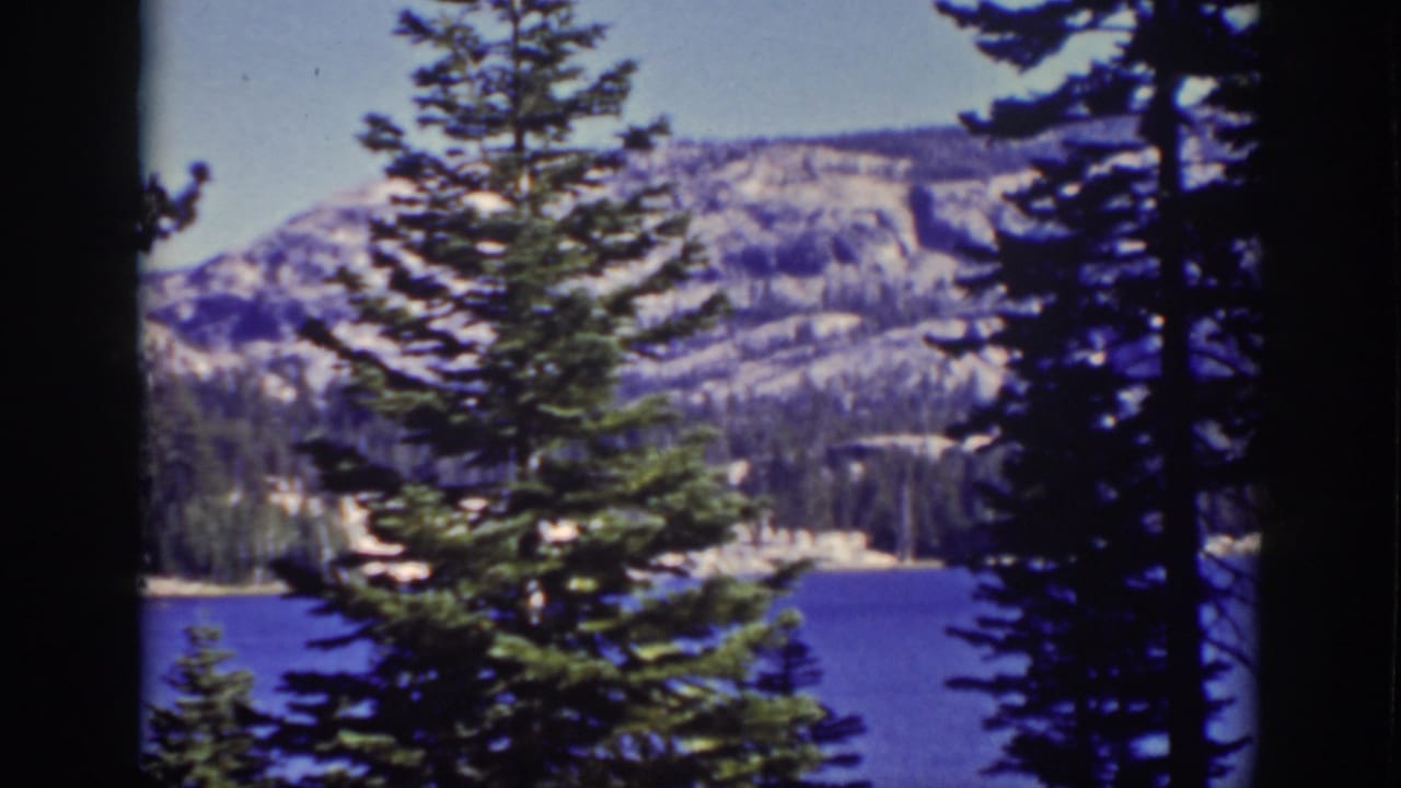 Pine trees frame a blue lake with distant mountains under a clear sky.