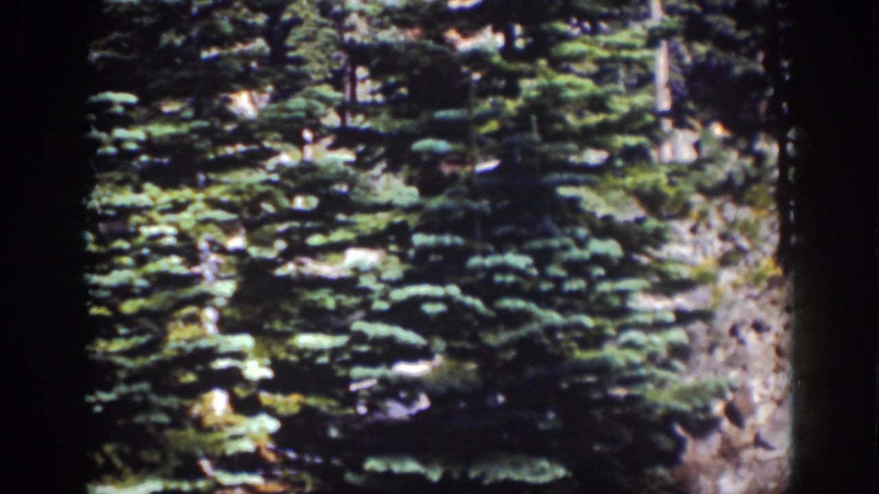 Lake Tahoe 8mm frame with evergreen trees, rocky slope, and saturated green tones from the 1939 home movie.