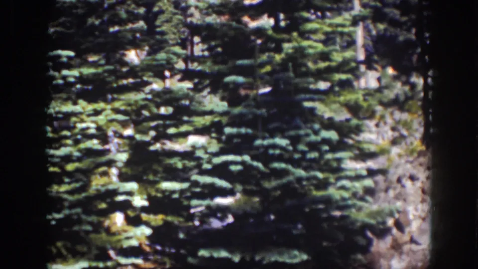 Lake Tahoe 8mm frame with evergreen trees, rocky slope, and saturated green tones from the 1939 home movie.