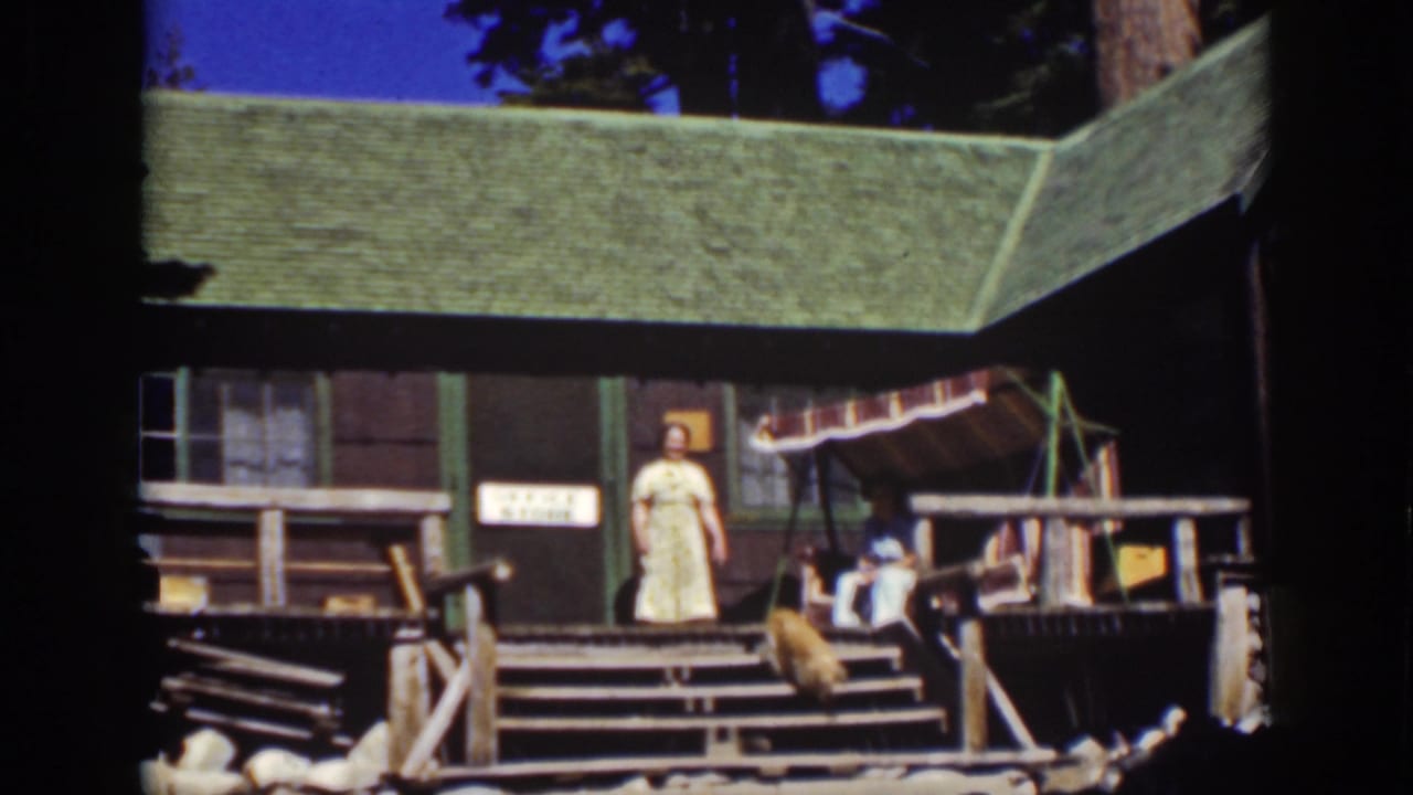 Woman standing on the porch of a rustic cabin with a green roof and pine trees behind it.