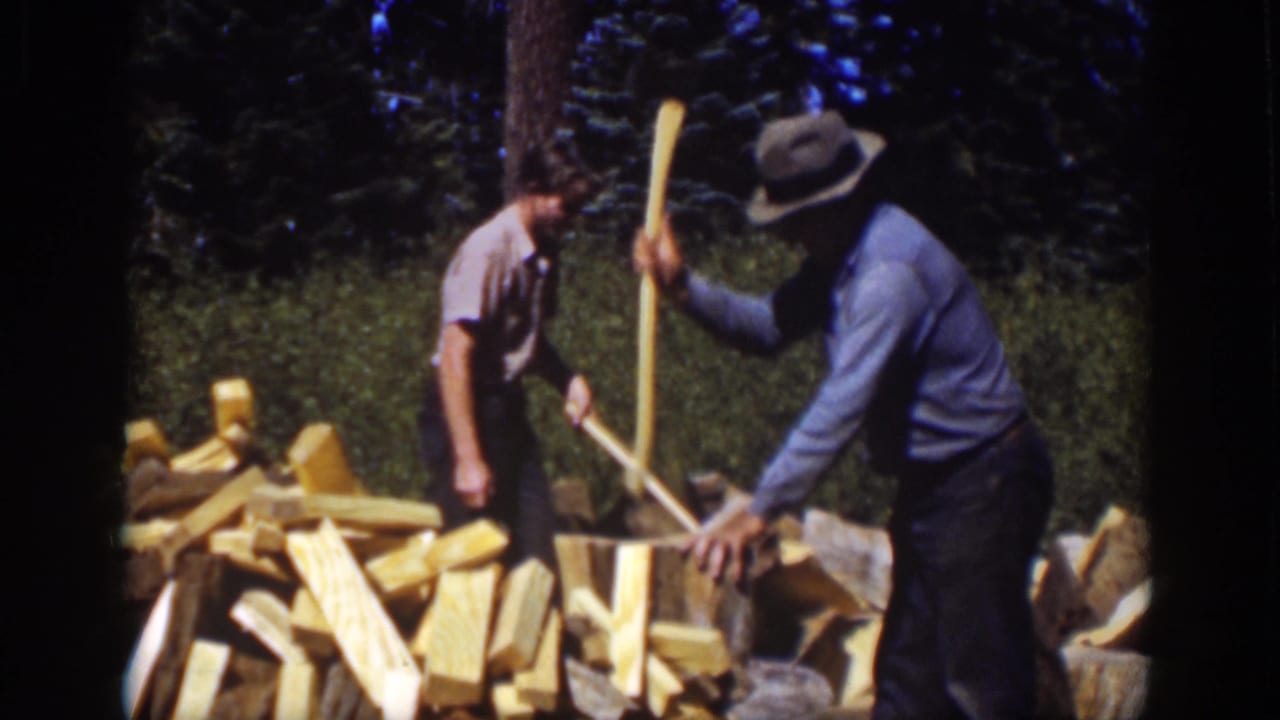 Two people stand by a pile of split firewood in a wooded area, holding axes near upright logs.