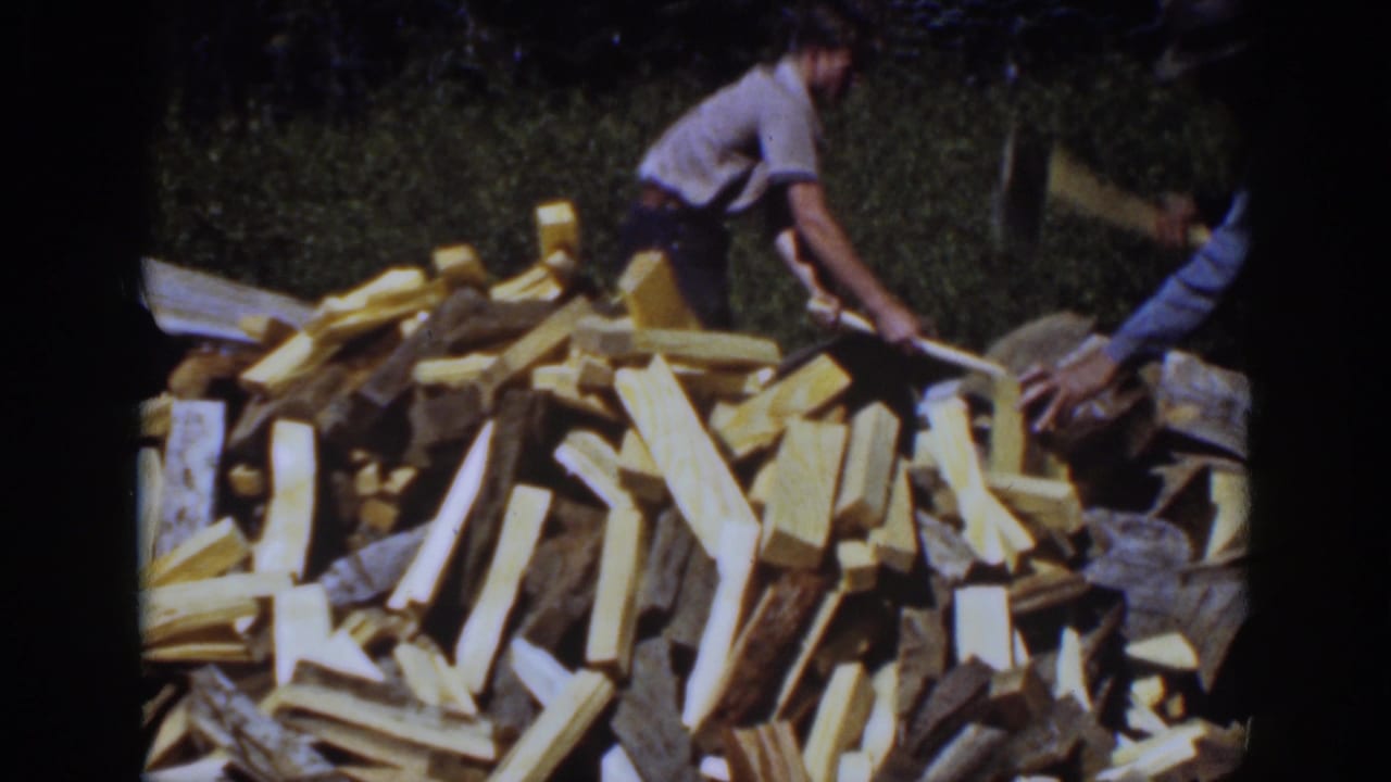 Man chopping wood beside a large pile of split firewood in a wooded area.