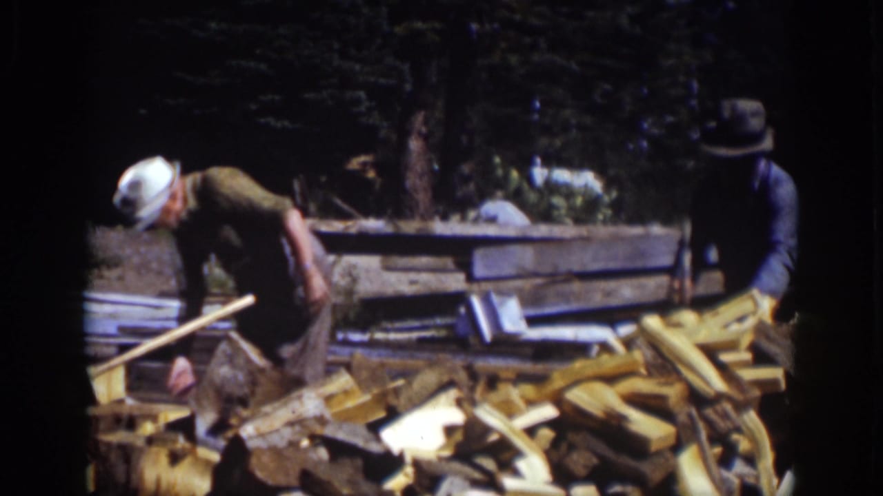 Two men work beside a large pile of cut wood in a wooded outdoor area.