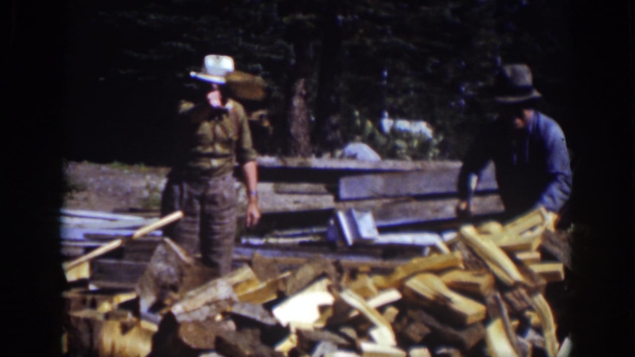 Two men stand by split wood and lumber with trees behind them.