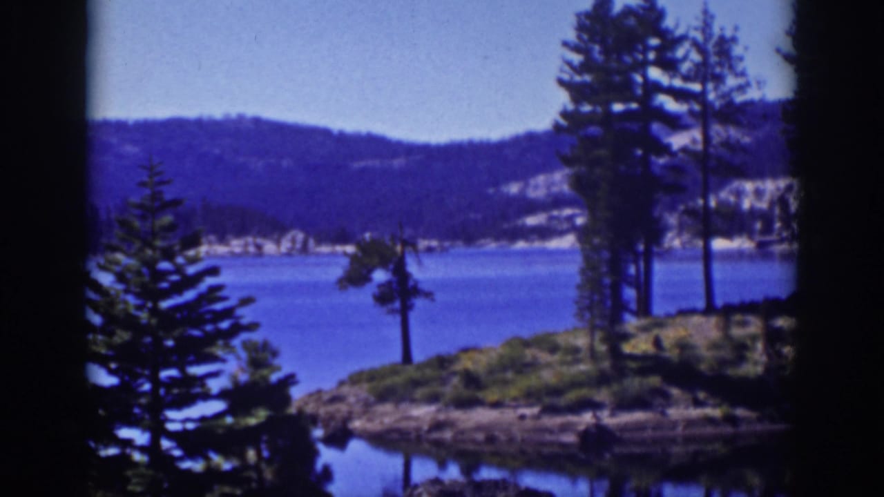 Small tree-covered point beside a blue lake, framed by dark tree silhouettes.