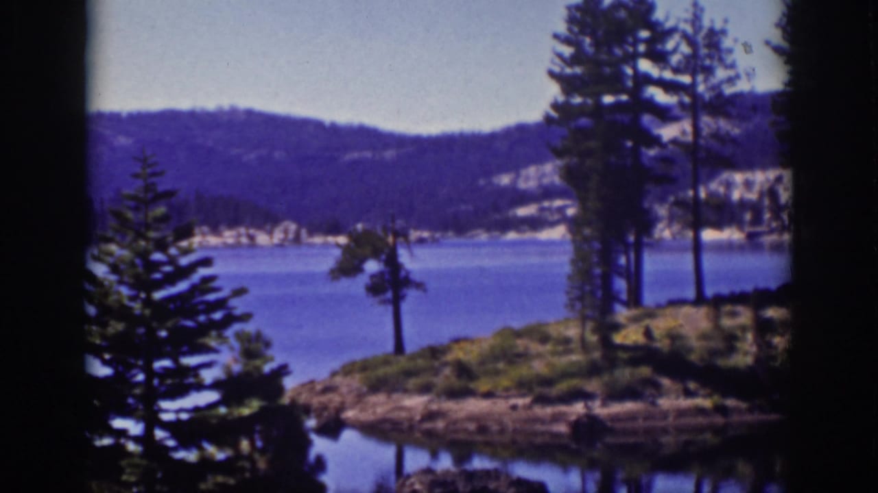 Pine-covered lakeshore with blue water, distant hills, and soft 8mm color.