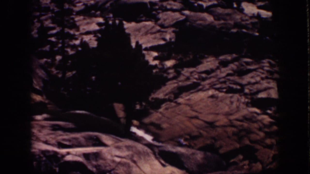 Dark pine trees and rugged rocks in a wooded mountain landscape.