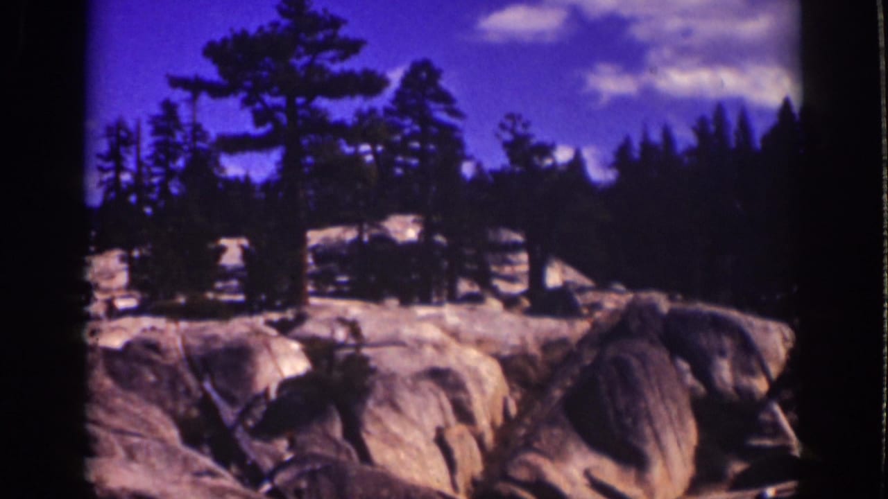 Pines stand behind broad rounded rocks under a bright sky.