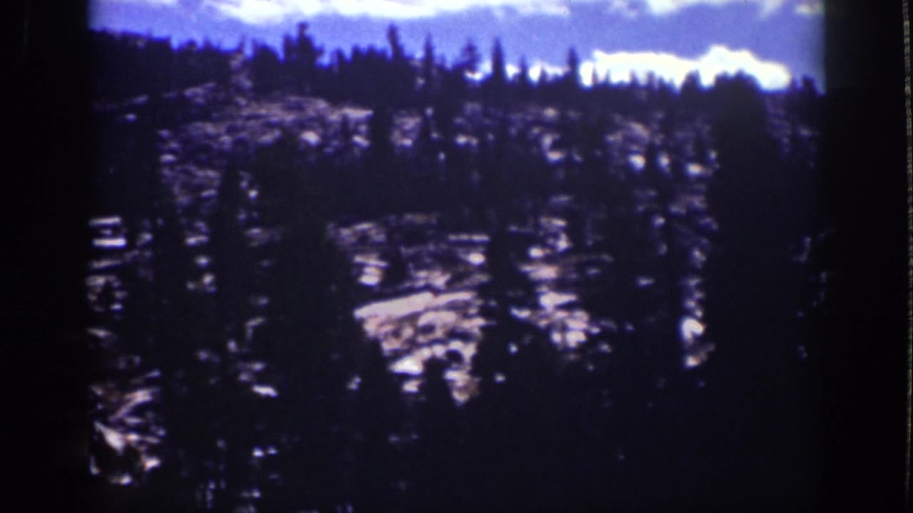 Pine-covered rocky hillside beneath a bright clouded sky.