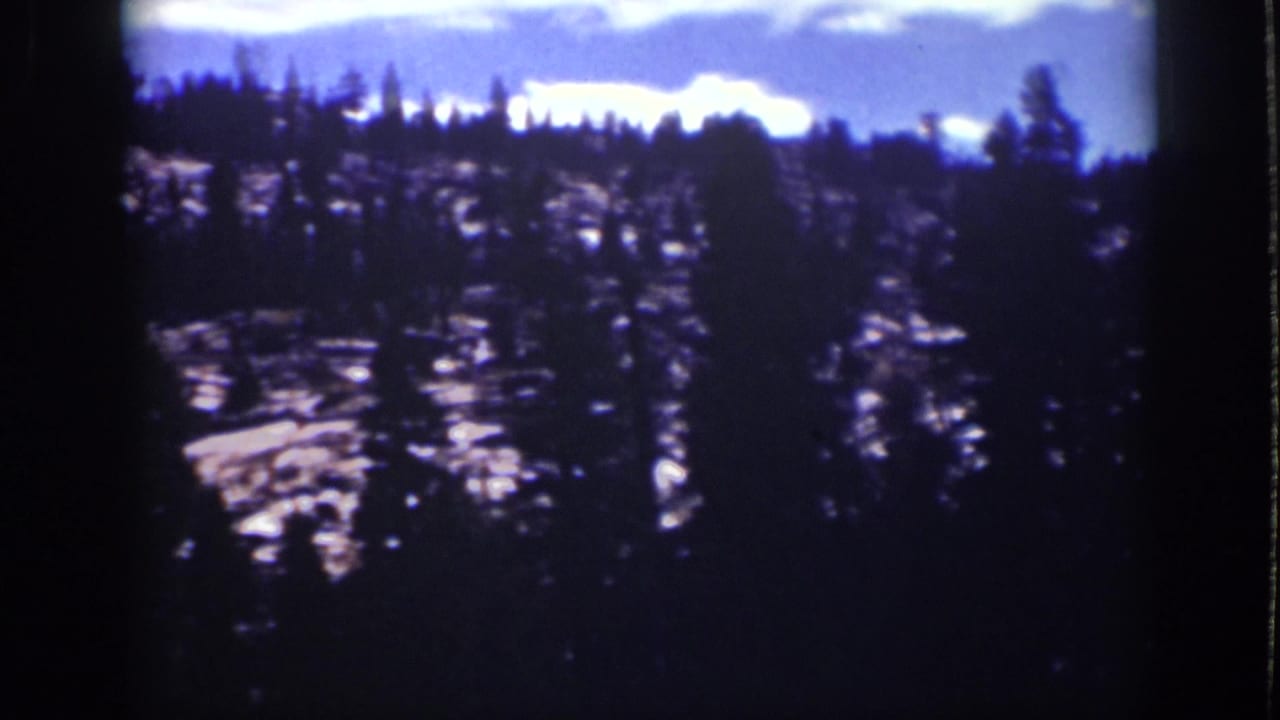 Dark pines and rocky terrain under a bright blue sky.