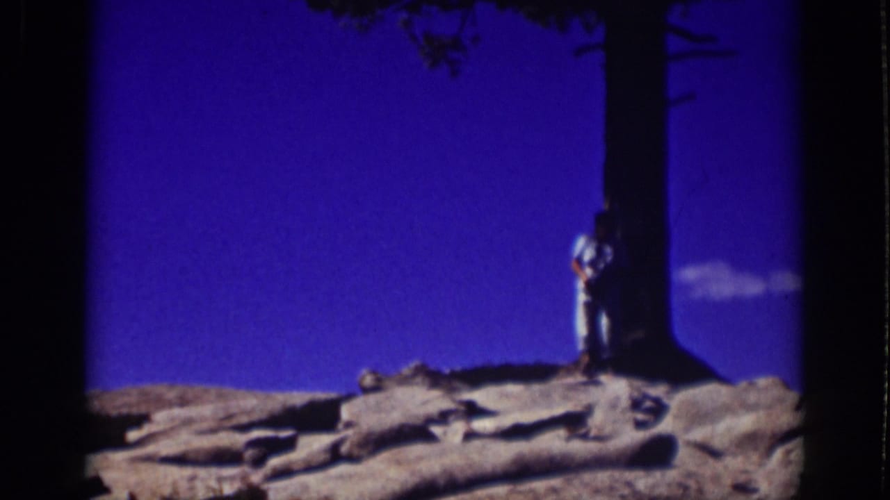 Man standing or leaning near a tall tree on rocky ground beneath a deep blue sky.