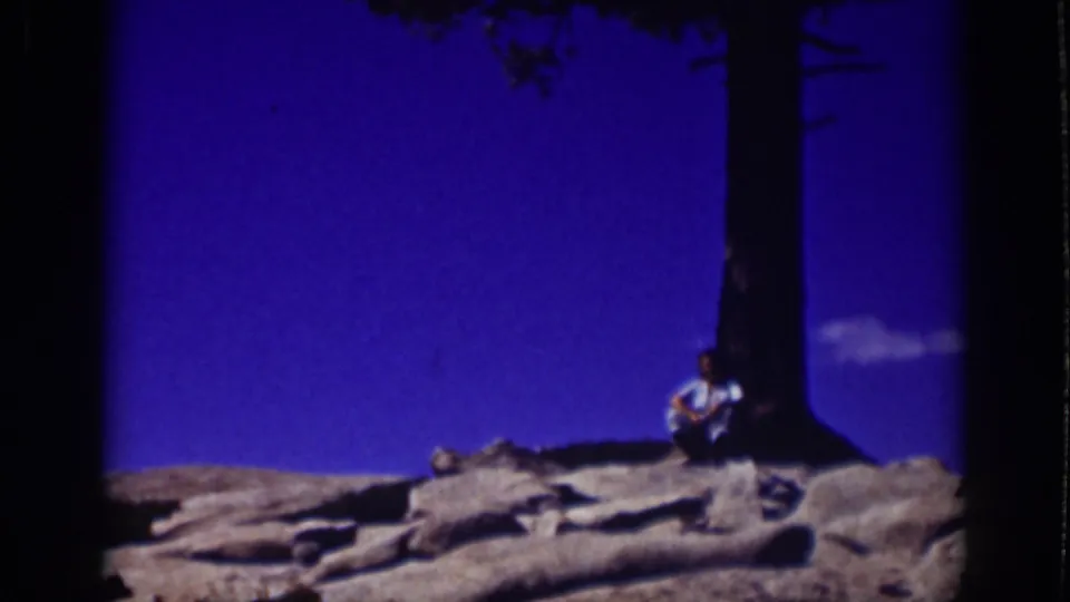 1939 Lake Tahoe home-movie still showing a man seated in shade at the base of a tall tree.