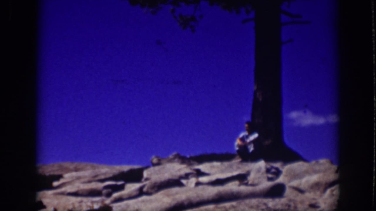 Person seated under a tall tree on a rocky outcrop beside deep blue water or sky.