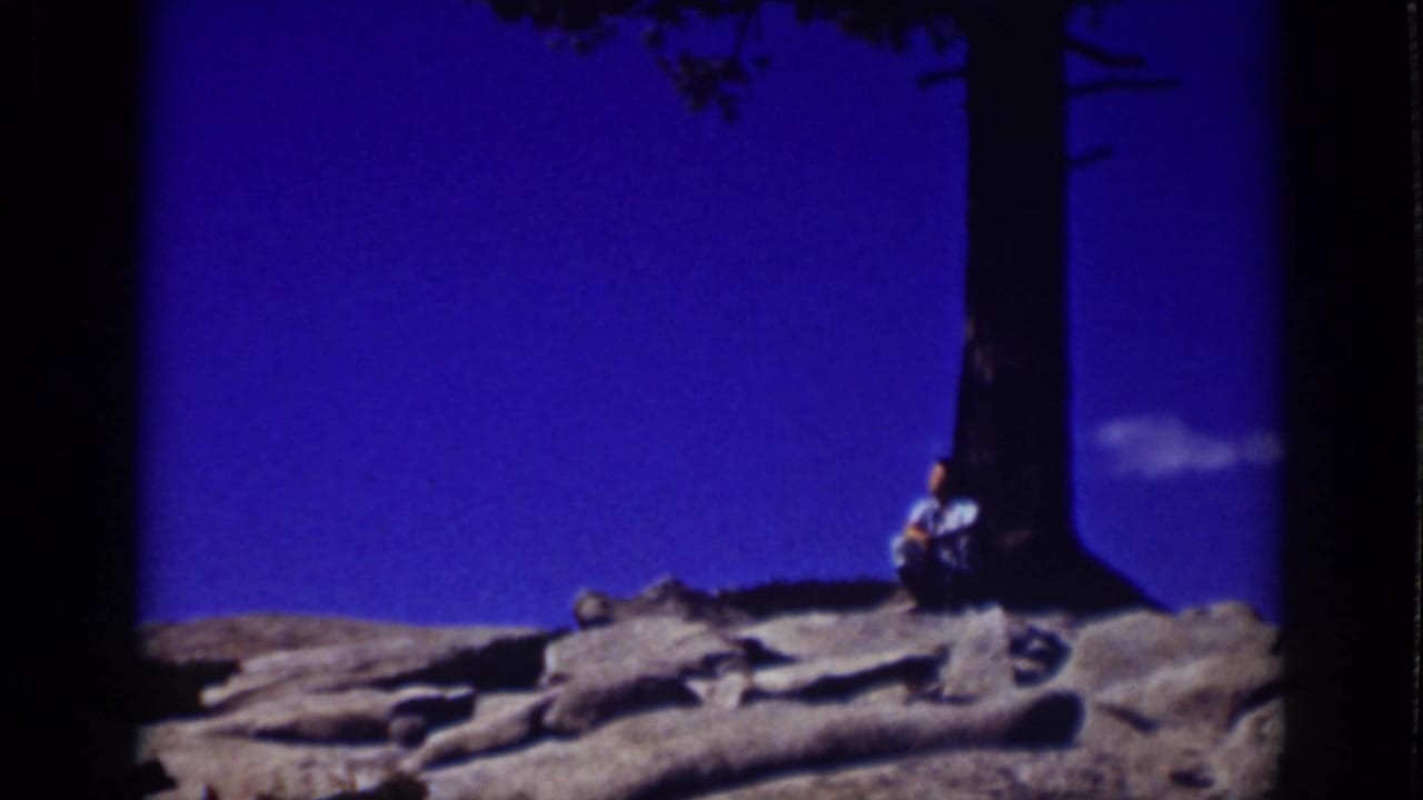Seated person under a large tree with rocks in the foreground and a blue backdrop.
