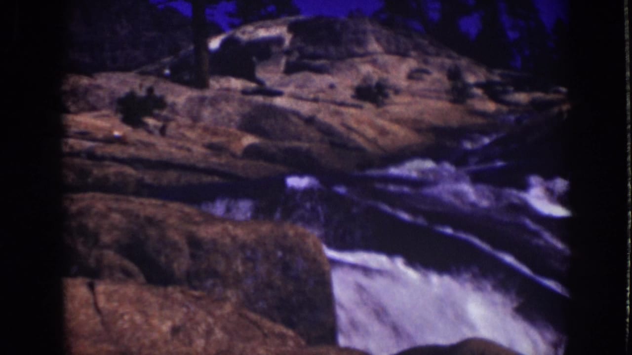 Water rushes over rocks below dark forest shadows.