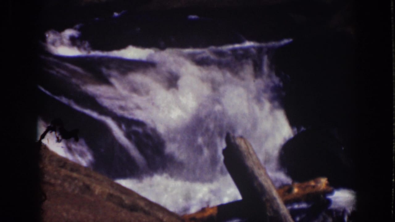 Whitewater stream rushing past dark rocks and a weathered log in shadow.