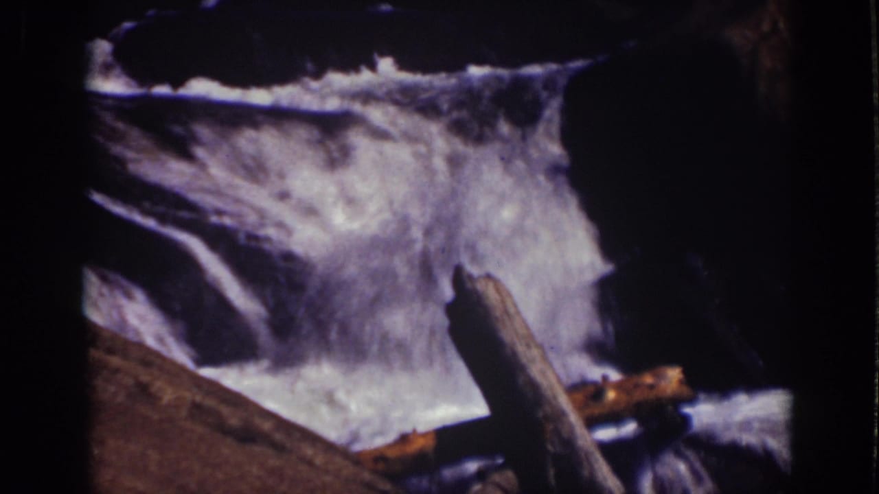 Waterfall rushing over rocks with driftwood in the foreground.