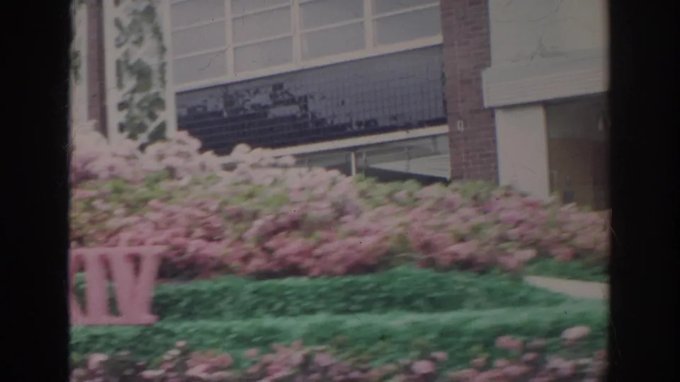 A close view of the floral float shows pink azaleas, green trim, partial XIV lettering, and storefront windows in Norfolk parade footage.