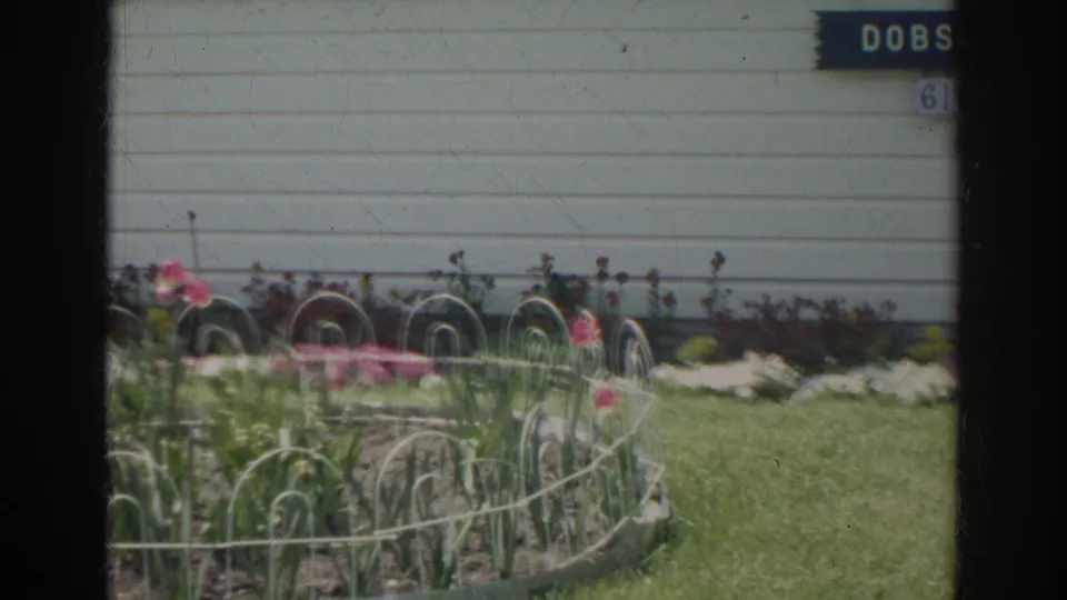 1966 Norfolk frame with a tidy backyard flower bed, pink blooms, white wire edging, green grass, pale siding, and a small DOBS sign.