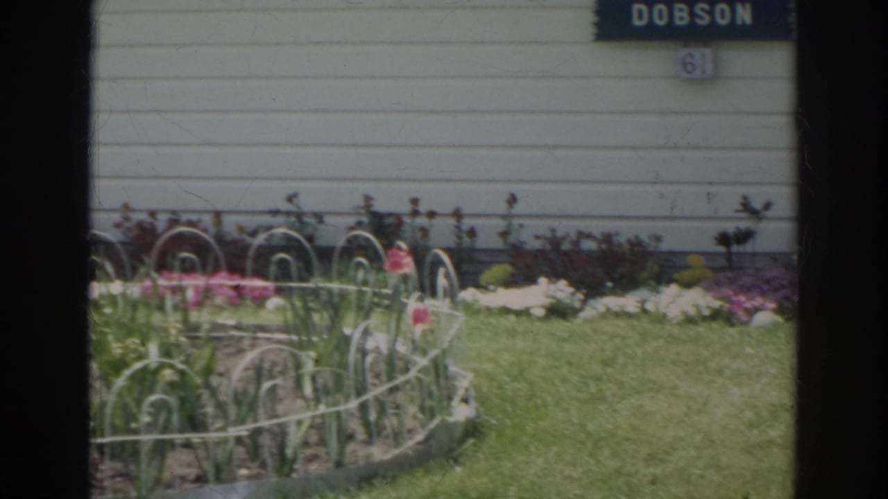 1966 Norfolk home-movie frame showing a sunny front yard with flowers, wire garden border, white siding, DOBSON sign, and number 61.