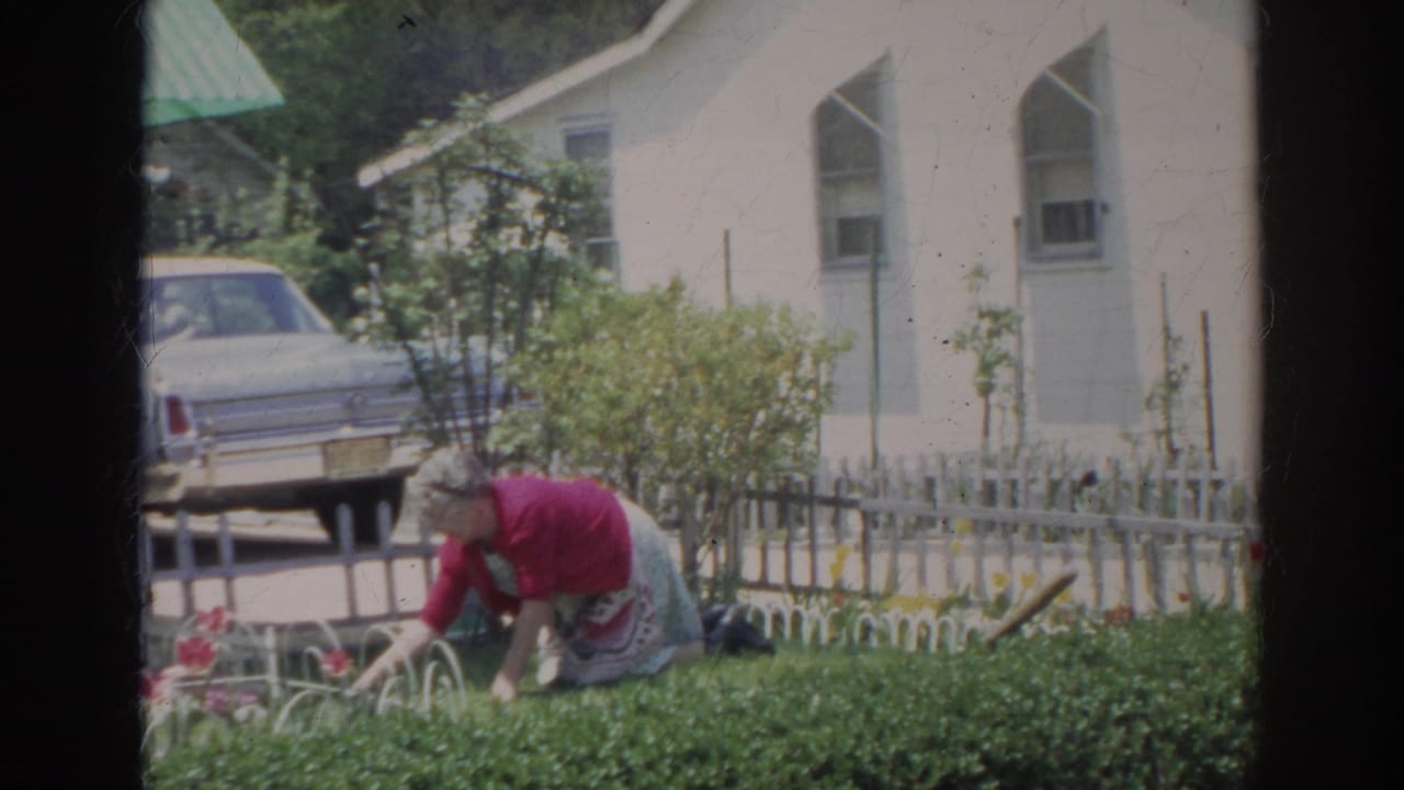 Adult woman gardening in a Norfolk backyard, with tulips, low fencing, a white house, and a 1960s car behind her.