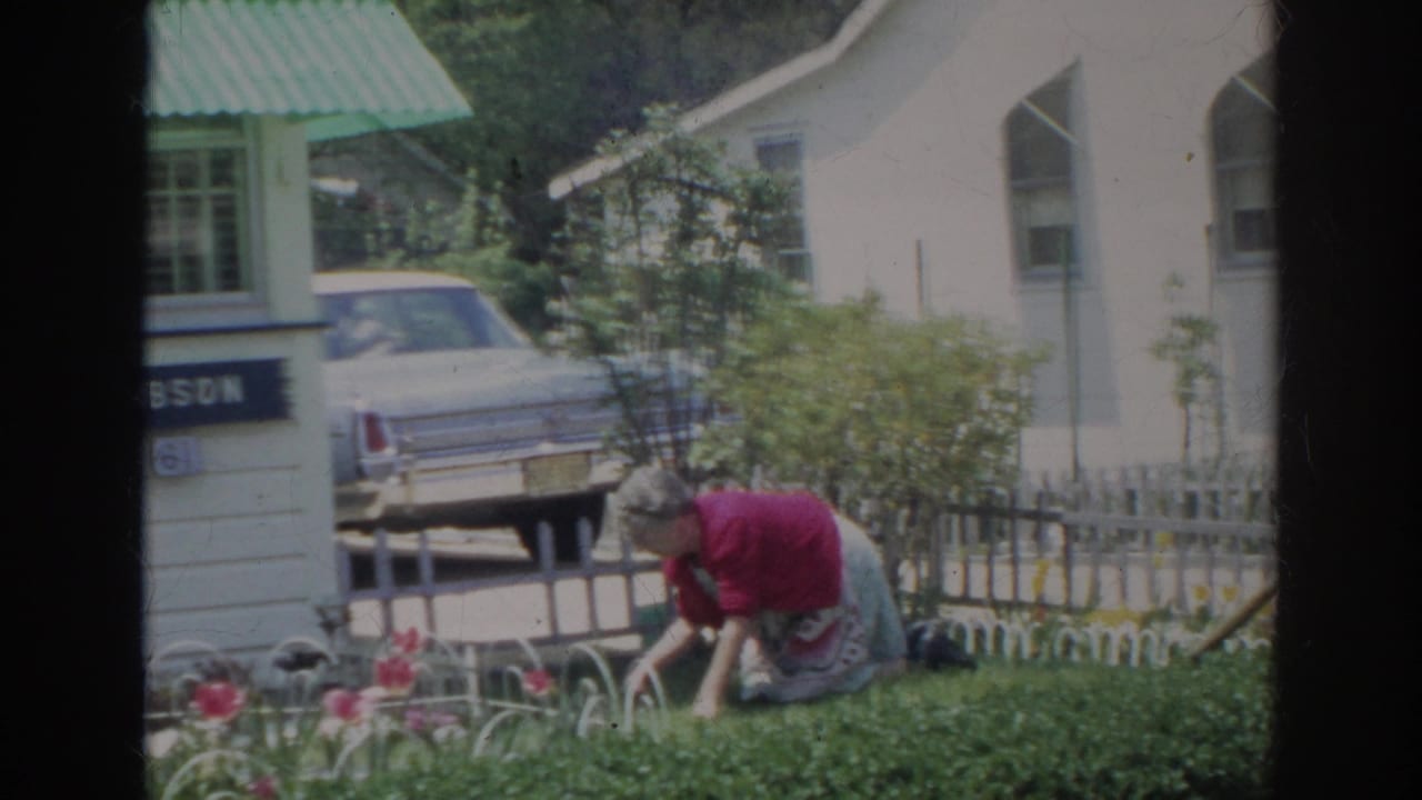 Adult woman bends over a backyard flower bed in 1966 Norfolk, framed by tulips, shrubs, a white house, and a parked car.