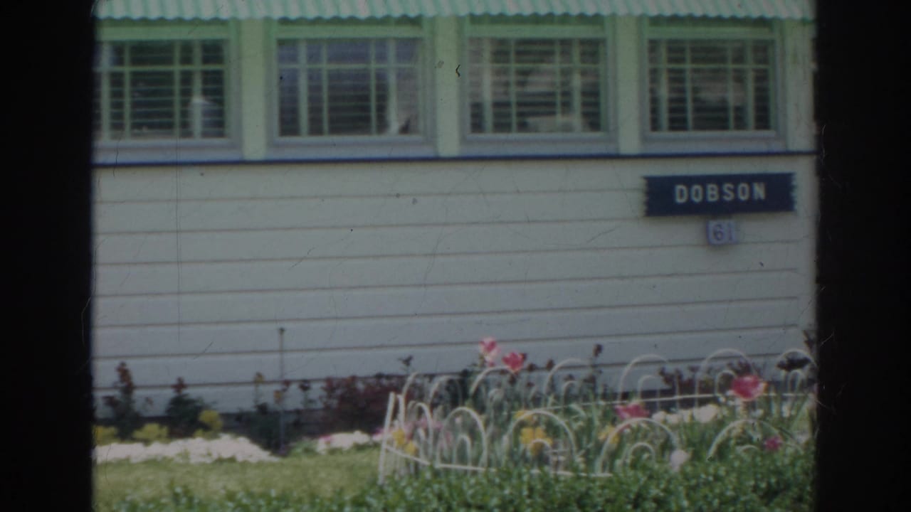 White clapboard house wall with green-trimmed windows, DOBSON sign, lawn, and flower bed.