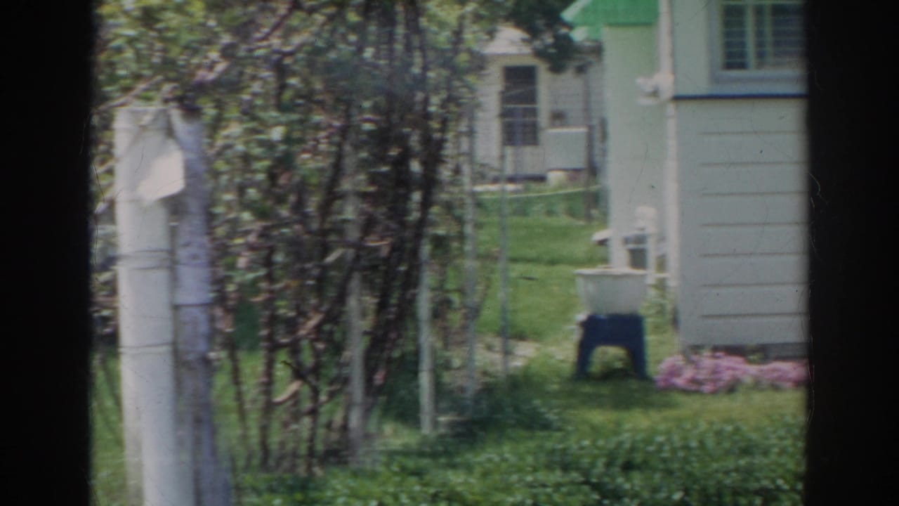Side of a white house, porch area, lawn, trees, flowers, and basin on a stool.